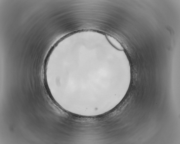 X0000111241076200908131139