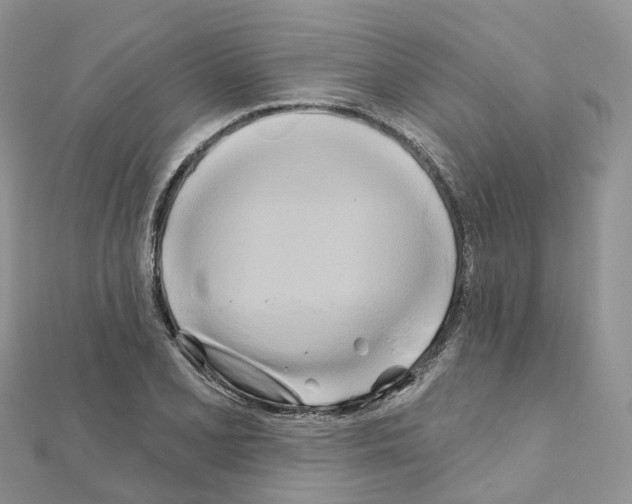 X0000111241077200908131139