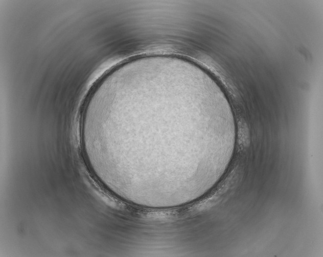 X0000111241078200908131139