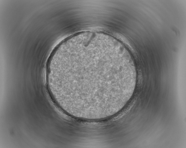 X0000111241079200908131139