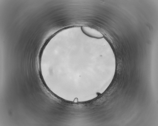 X0000111241080200908131139