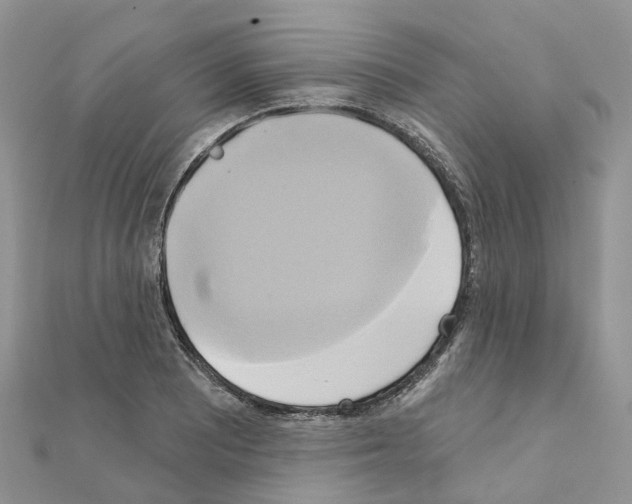 X0000111241081200908131139