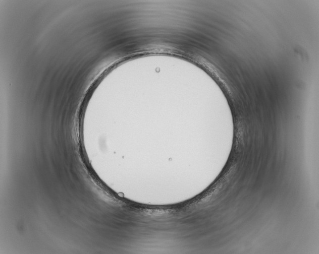 X0000111241082200908131139