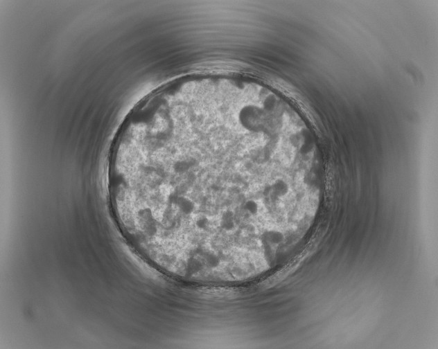 X0000111241083200908131139