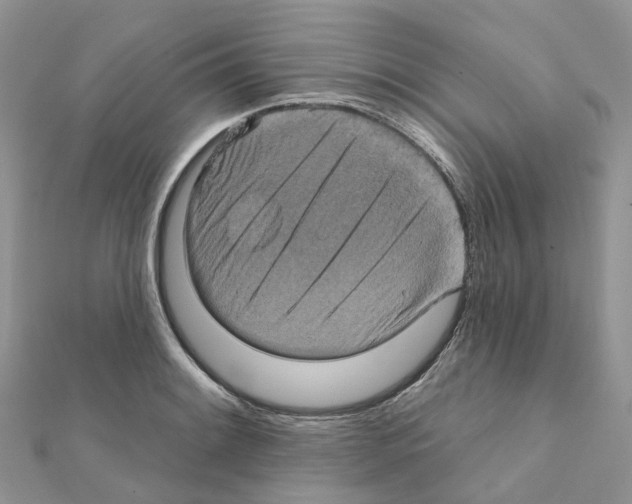 X0000111241084200908131139