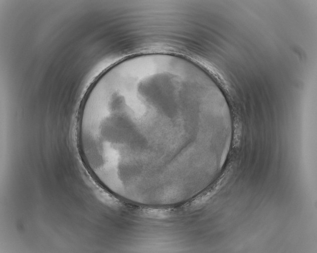 X0000111241086200908131139