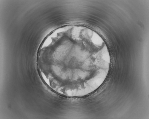 X0000111241087200908131139