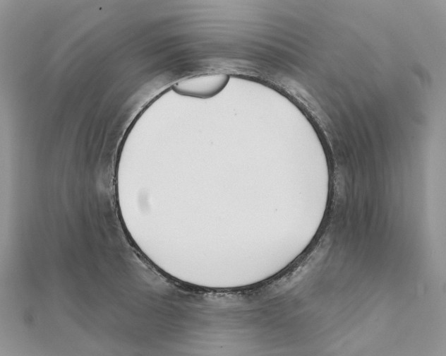 X0000111241089200908131139