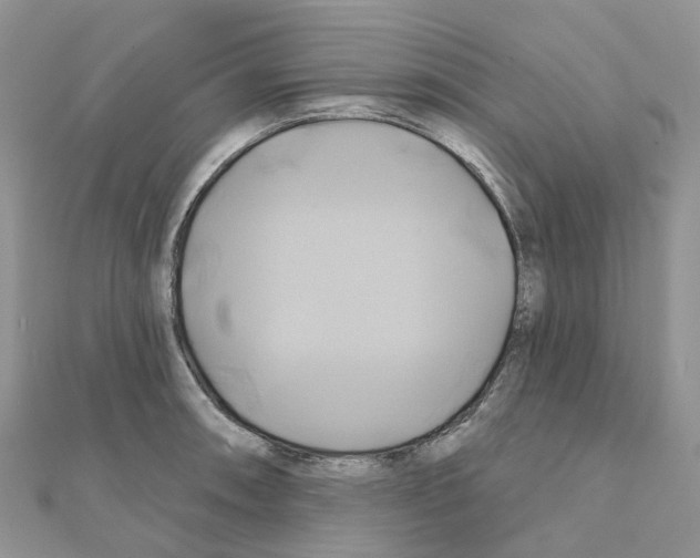 X0000111241090200908131139