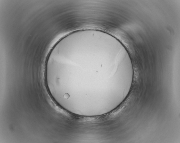 X0000111241094200908131139