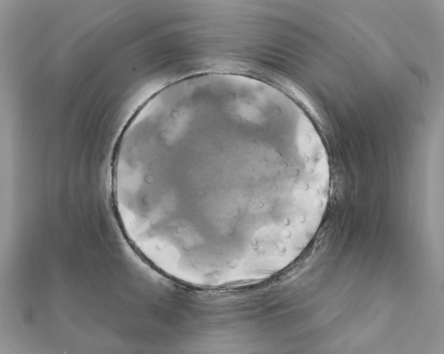 X0000111241095200908131139
