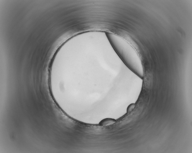 X0000111241096200908131139