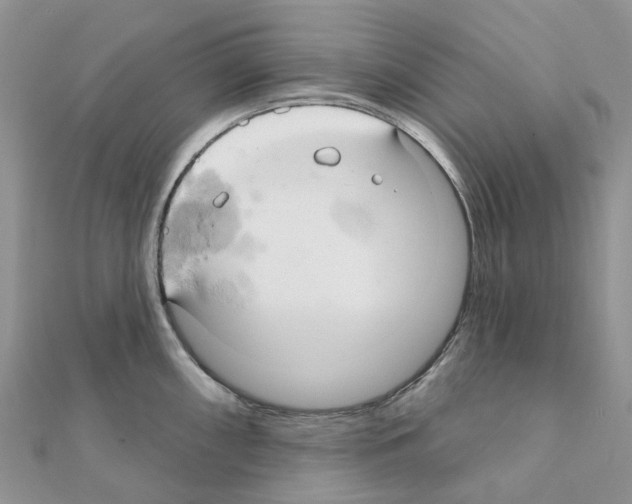 X0000111241098200908131139