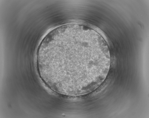X0000111241099200908131139