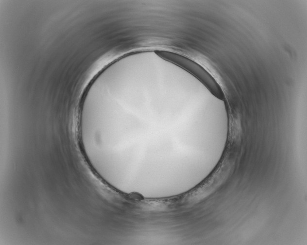 X0000111241101200908131139
