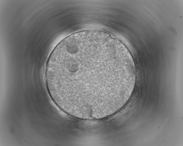 X0000111241103200908131138