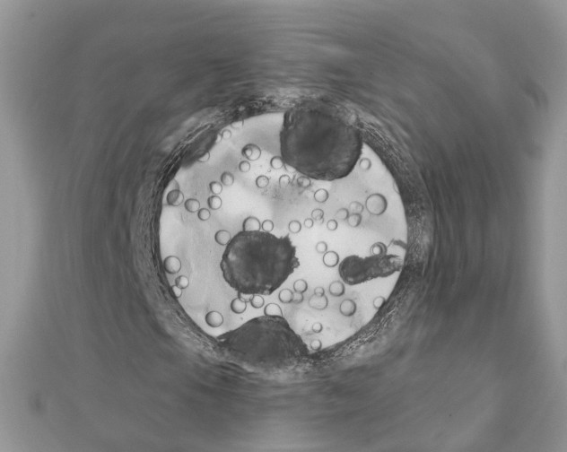 X0000111241105200908131138