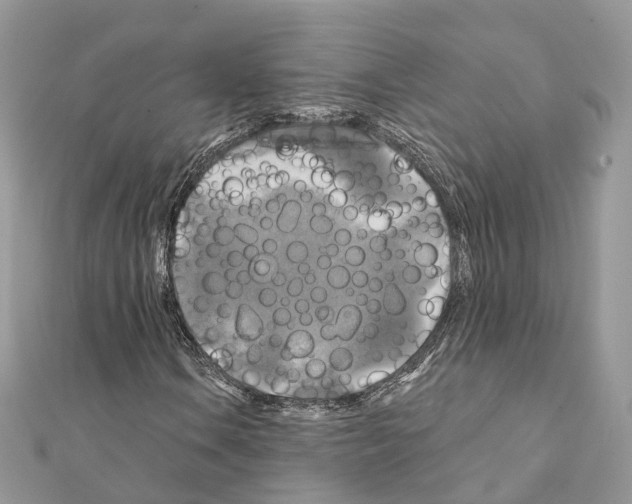 X0000111241106200908131138