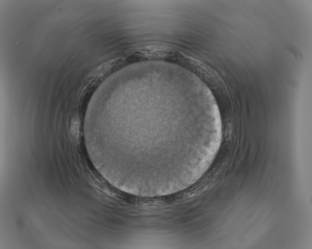 X0000111241108200908131138