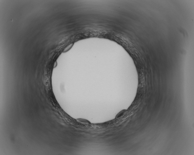 X0000111241109200908131138