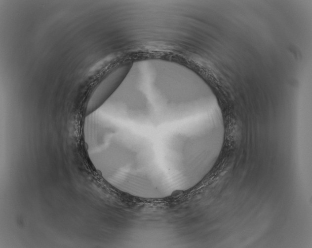X0000111241110200908131138