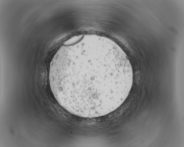 X0000111241111200908131138