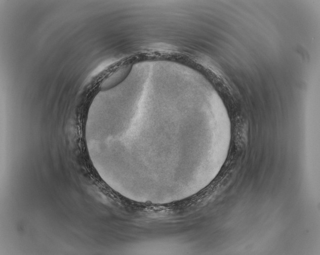 X0000111241112200908131138