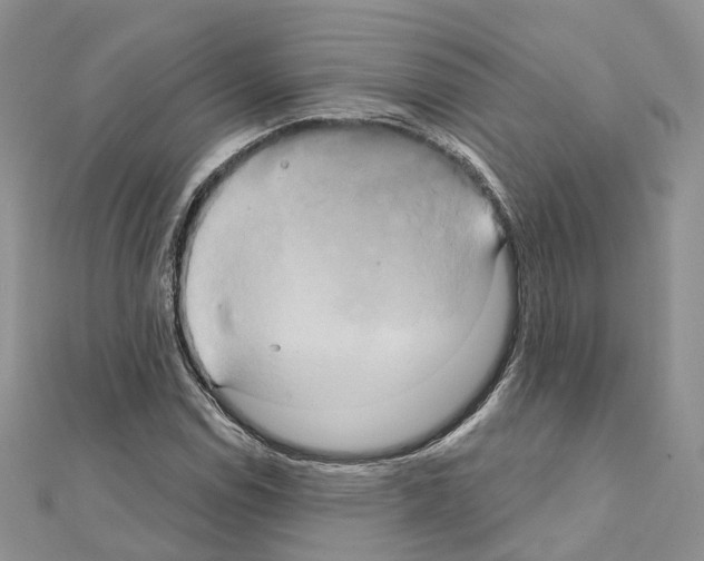 X0000111241114200908131138