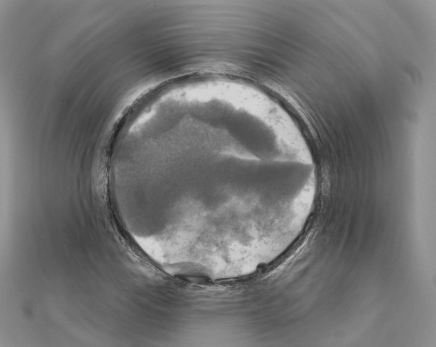 X0000111241115200908131138