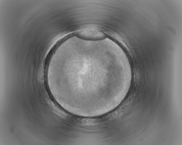 X0000111241116200908131138