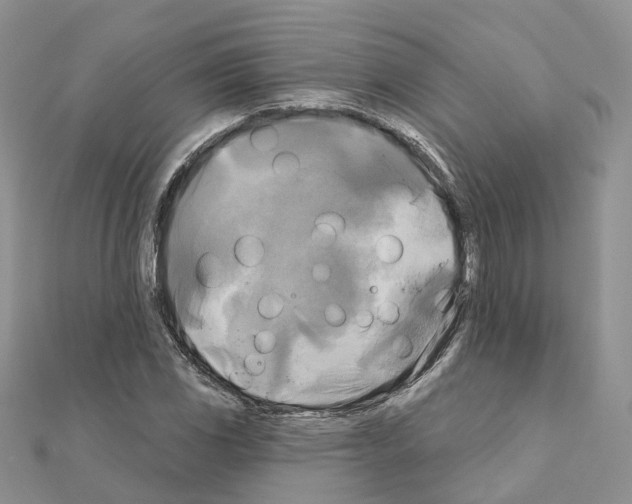X0000111241117200908131138