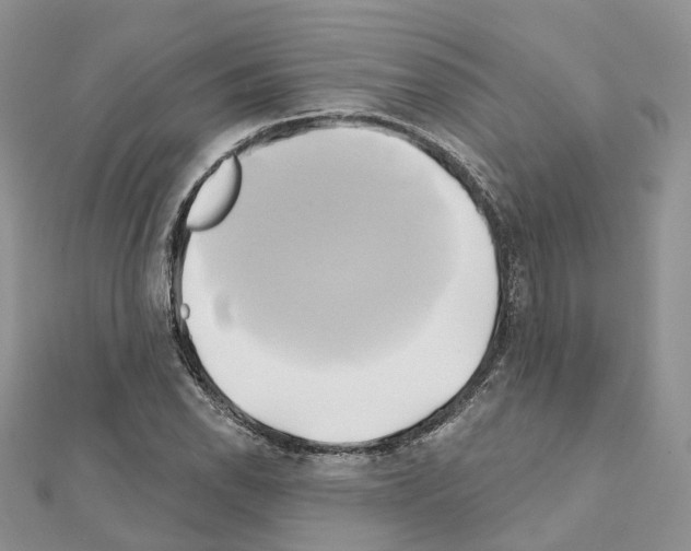 X0000111241118200908131138