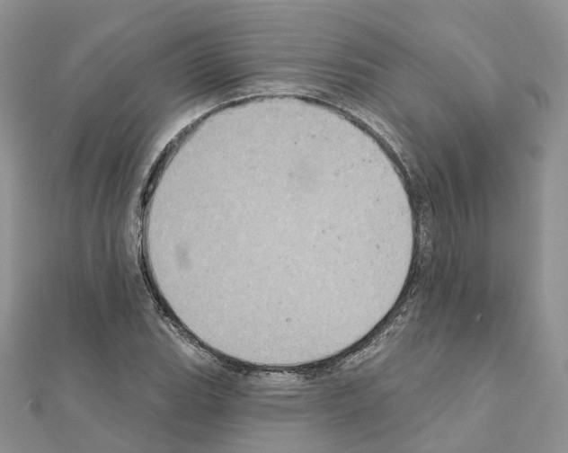 X0000111241119200908131138