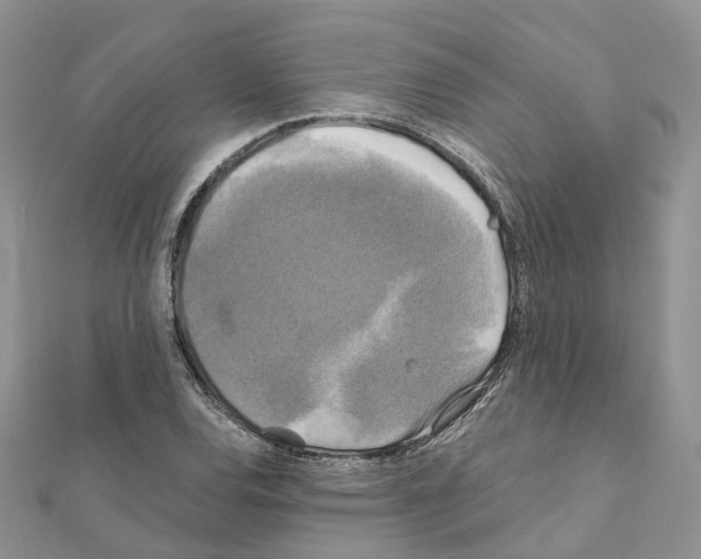 X0000111241120200908131138