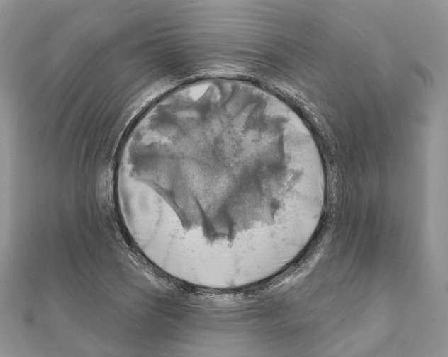 X0000111241121200908131138
