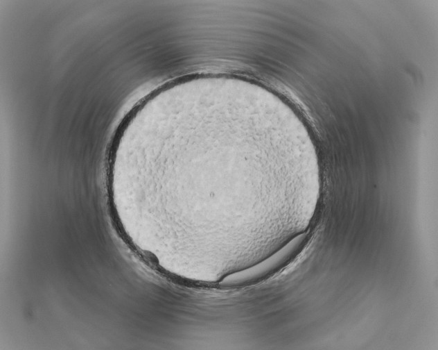 X0000111241122200908131138