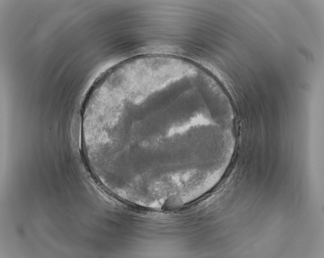 X0000111241123200908131138