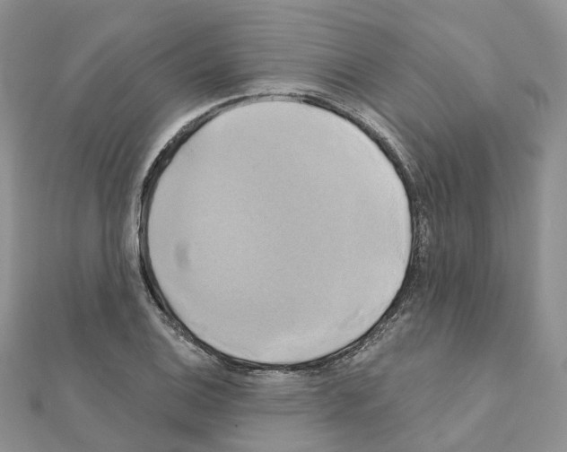 X0000111241124200908131138