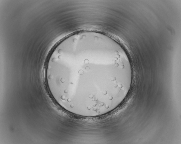 X0000111241125200908131138