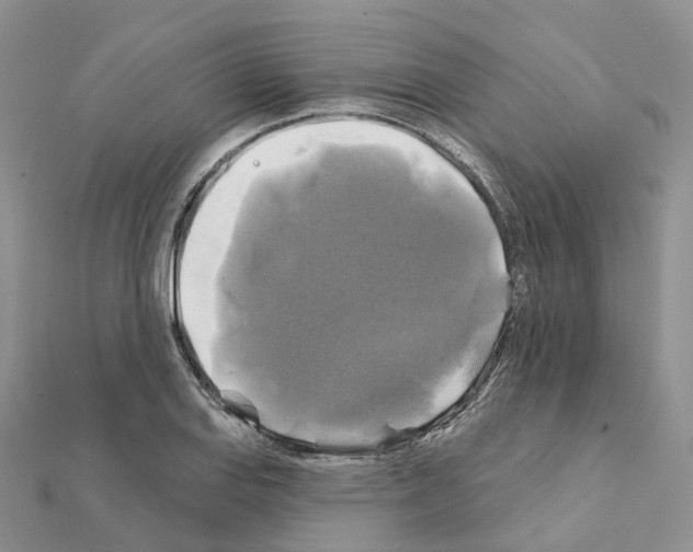 X0000111241127200908131138