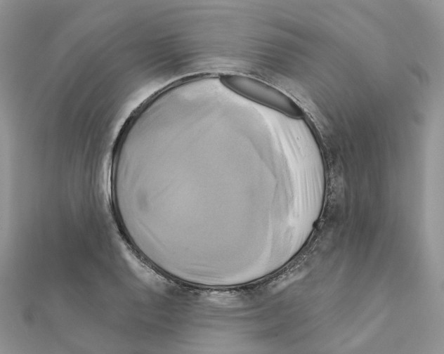X0000111241128200908131138