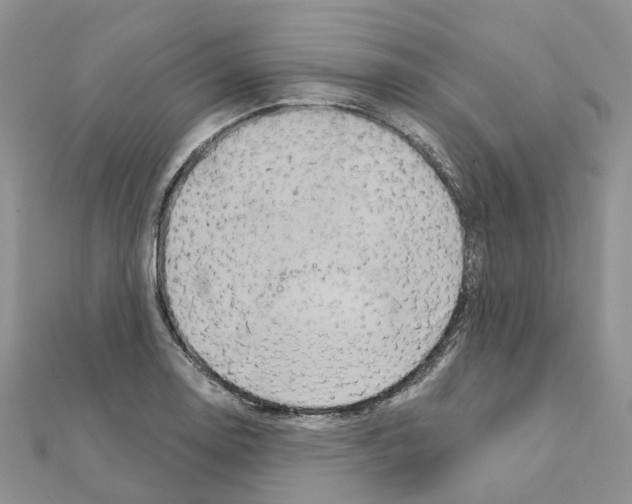 X0000111241130200908131138