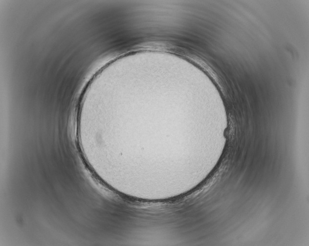 X0000111241131200908131138
