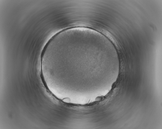 X0000111241132200908131138