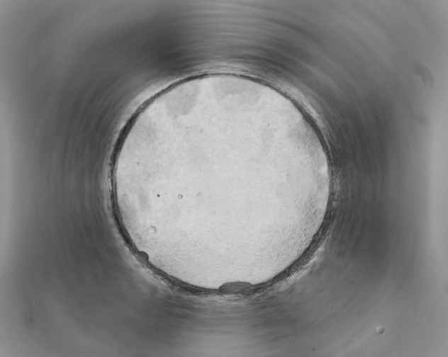 X0000111241133200908131138