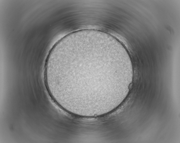 X0000111241135200908131138