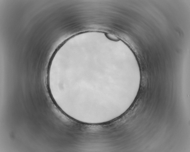 X0000111241136200908131138