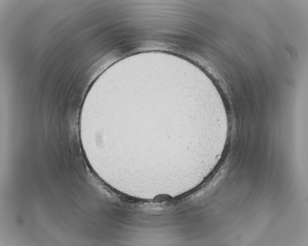 X0000111241137200908131138
