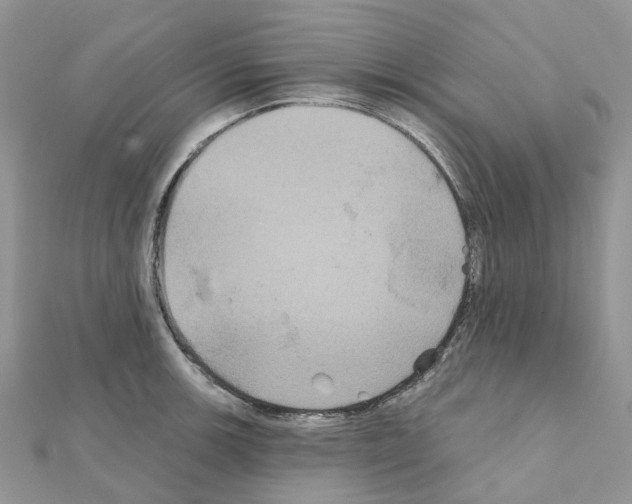 X0000111241139200908131138