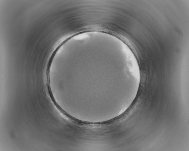 X0000111241141200908131138